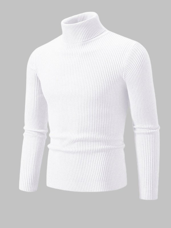 Monroe | Men's Slim Fit Ribbed Turtleneck Sweater